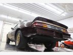 Thumbnail Photo 47 for 1980 Chevrolet Camaro